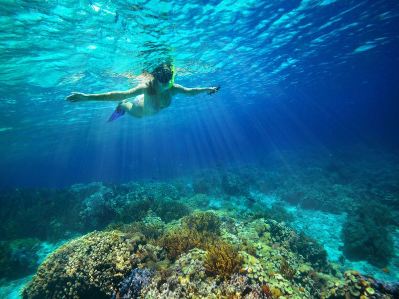 Snorkeling Snorkeling